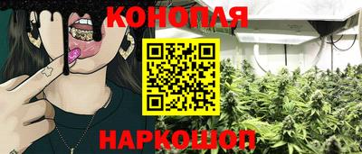 бошки Будённовск